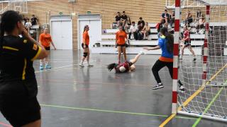 Final Balonmano FECEM -Cerbuna